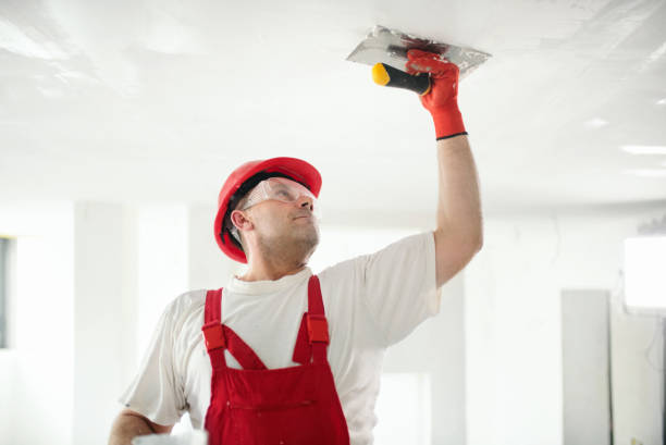 Best Eco-Friendly and Low-VOC Painting  in Roselle, NJ