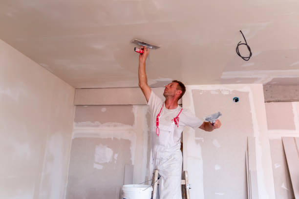 Best Wallpaper Removal and Painting  in Roselle, NJ