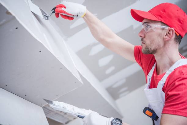 Best Ceiling Drywall Installation  in Roselle, NJ